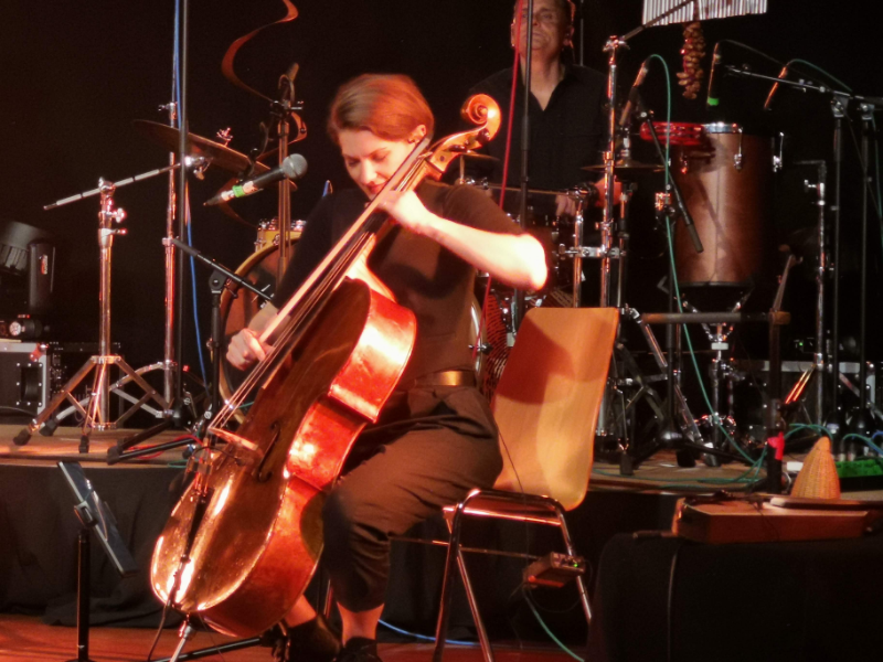 Pippo Pollina & Quartetto Acustico